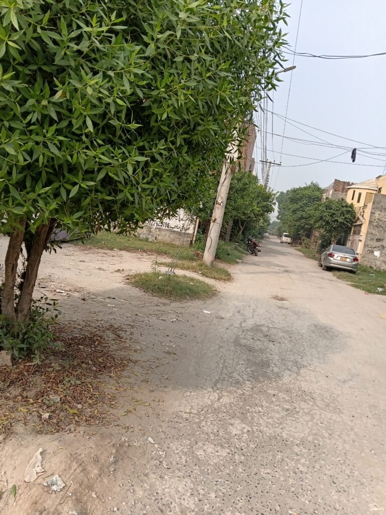 Property NW-1756
